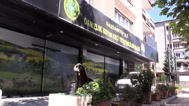 Gastronomi kentinin doğal lezzetleri markalaşıyor