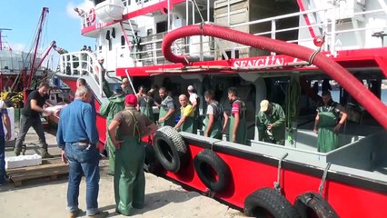 Kasa kasa geliyor, kilo kilo satılıyor