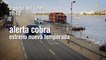 ALERTA COBRA - Nuevos Capítulos en España - PROMO HD Estreno Lunes 16 de Septiembre 2019 a las 11:40h en Cuatro HD - Temporada 25 - Staffel 42 en Alemania