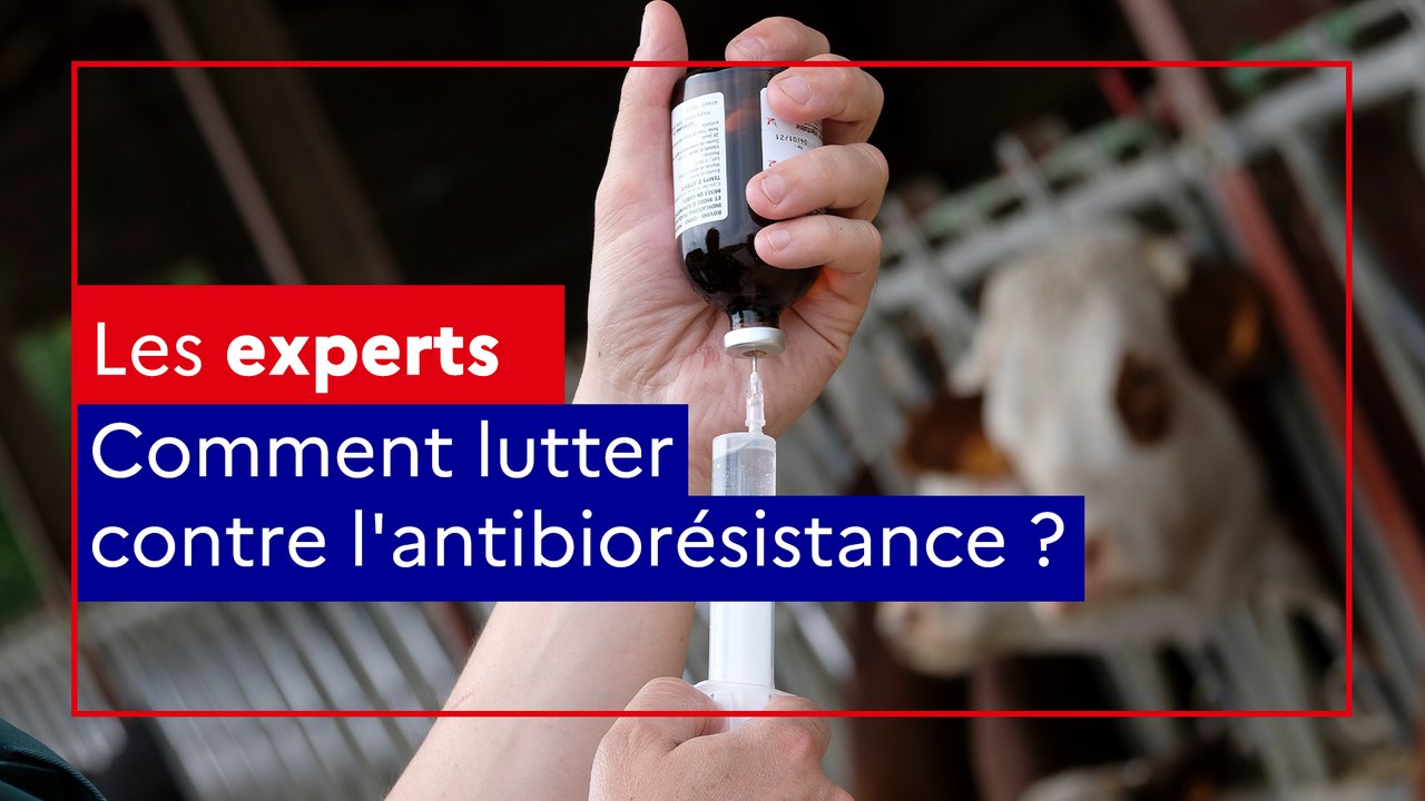 Comment lutter contre l'antibiorésistance ?