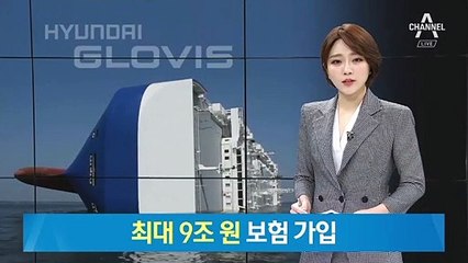 현대글로비스 최대 9조 원 보험 가입…차량 4천 대 전액 보험 처리