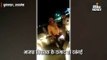 भाजपा विधायक के दामाद की दबंगई, अपने गुर्गों के साथ पेट्रोल पंप संचालक को पीटा