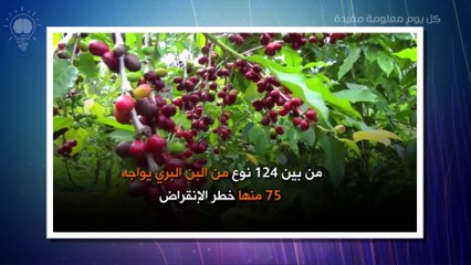 هل سيأتي يوم لا نجد فيه القهوة حقاً؟