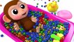 Lernen Sie Farben Baby Affe Fußball Bad Zeit Fingerlied Kinderlieder Für Kinder