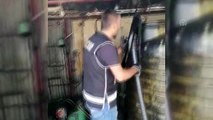 Akaryakıt kaçakçılığı operasyonu - İZMİR