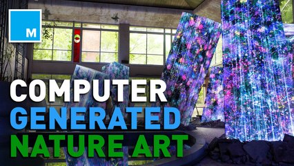 This art installation combines computer generation and nature