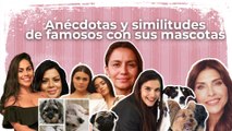 El perro de 'Calle y Poché’ quiere salir en sus videos, asegura Lina Lamos