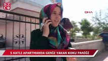 Konya'da koku paniği!