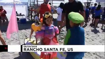 Köpekler "en iyi sörfçü" olabilmek için yarıştı