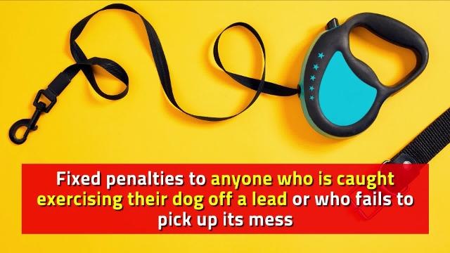 Shame of dog walkers fouling a Lancashire cemetery