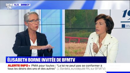 Élizabeth Borne: "il faut réduire globalement l'utilisation de pesticides"