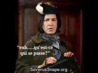 Severus Rogue : le maître des potions - Par DoroT