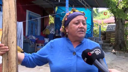 Kafasına Kalasla Vurulan Kadın: "Öldürmek İçin Vurdular"