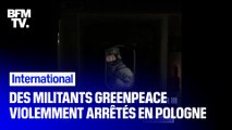 Les images de la violente interpellation de militants Greenpeace par les autorités polonaises