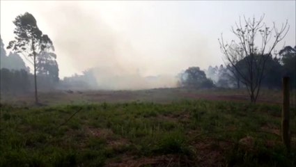 Incêndio atinge grande área de vegetação entre as rodovias BR-277 e BR-369