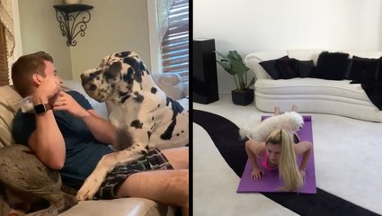 Adorable Pups Know What They Want