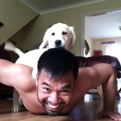 Faire son sport avec ses animaux.. pas si simple !