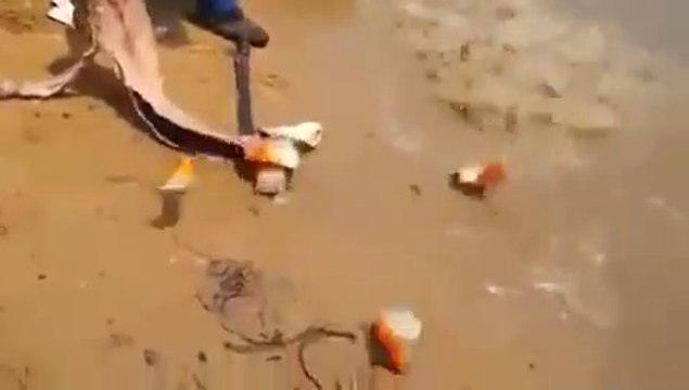 La pêche aux piranhas : facile