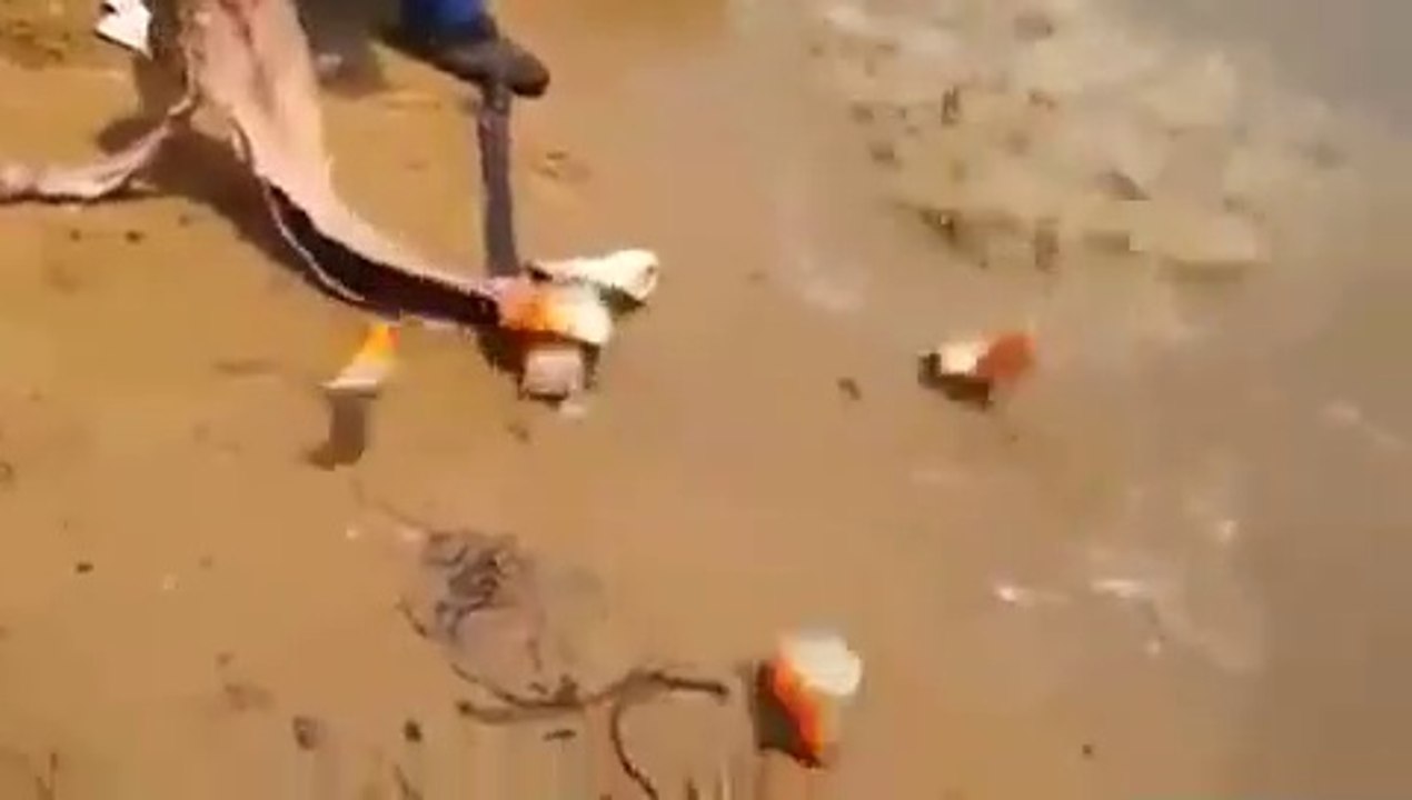 La pêche aux piranhas : facile