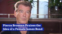 Pierce Brosnan Praises The Idea Of A Female James Bond