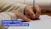 Scientists Identify Left Handedness Genes