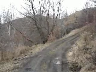 Madame et son Outlander