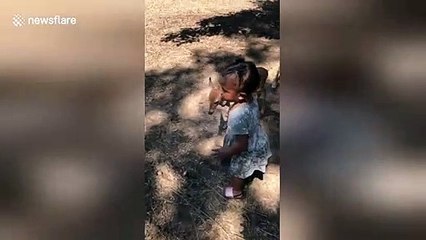 Adorable 2-year-old girl is very tired of deer bothering her