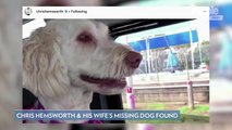 Chris Hemsworth and Elsa Pataky's Dog Sunny Found After Running Off and Going Missing in Australia