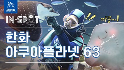 [인-스팟] 수족관 뒷편 아쿠아리스트들의 하루는 어떻게 돌아갈까? l 인스파이어