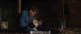 『僕のワンダフル・ジャーニー』ベイリーが生まれ変わりを決意する本編映像