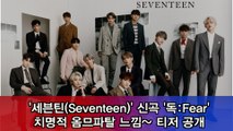 세븐틴(Seventeen), 신곡 '독 Fear' 치명적 옴므파탈 느낌~ 티저 공개