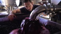 How This Entrepreneur Grew His Passion for Luxury Wines Into a Business