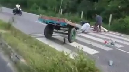 என்னையவா அடிக்கிறீங்க.. கீழே விழுங்கடா.. பழிவாங்கிய மாடு-வீடியோ