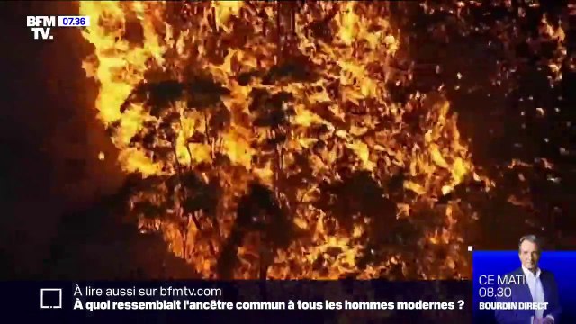 Les incendies de forêt qui ravagent l'Australie pourraient durer des semaines selon les autorités