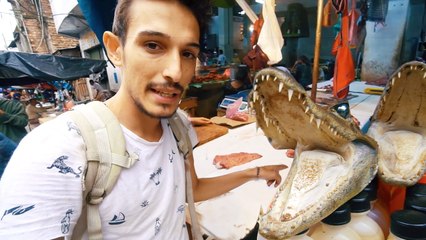 Dünyanın En Egzotik Pazarı (Timsah Eti Yiyorlar) - Ayahuasca Çayı, Bitkisel Tedavi