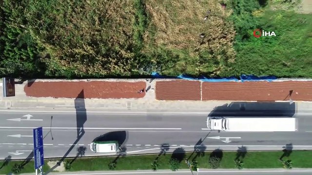 Karadeniz sahil yolu fındık harmanı oldu...Kurumaya bırakılan fındık sergileri havadan görüntülendi