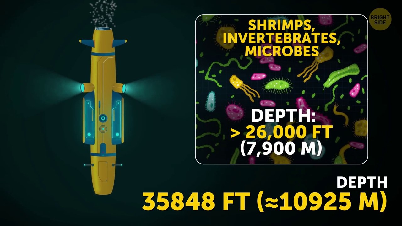 What Would a Trip the Mariana Trench Be Like?