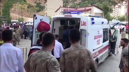 Bitlis'in Hizan ilçesinde köy minibüsü şarampole devrildi