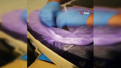 İstanbul'da peş peşe uyuşturucu operasyonları