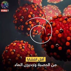 فيديو معلوماتى.. أعراض الحصبة الألمانية وطرق علاجها