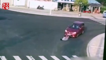 Çin de köpekten yayalara trafik dersi