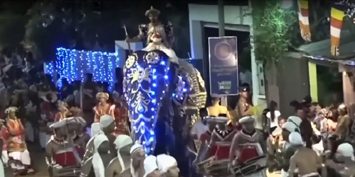 Un elefante fuera de sí provoca el caos durante un desfile tradicional en Sri Lanka