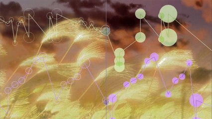 Boogiepop main theme_( Music Box ver. )