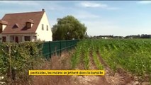 Pesticides : le glyphosate interdit dans le Val-de-Marne