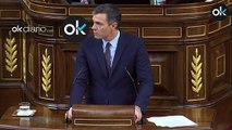 Pedro Sánchez declarará España en 