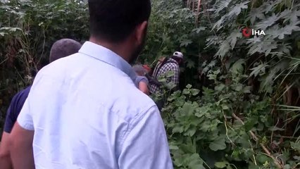 Zehir tacirleri kamu arazisine kenevir ekmiş