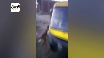 سلطوا عليه كلب.. شباب يعتدون على قزم.. وأحدهم: كفاية هيعيط