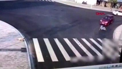 Çin'de köpekten yayalara 'trafik dersi?