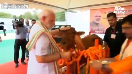 मोदी ने कहा- ओम और गाय सुनकर कुछ लोगों के बाल खड़े हो जाते हैं