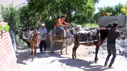- Araçların giremediği yerlere katırlarla taş taşındı